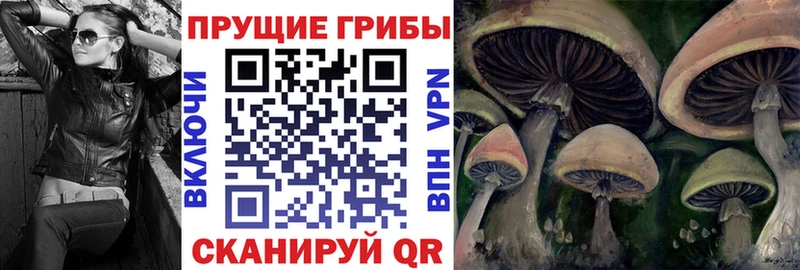 цены наркотик  Мурманск  МЕГА   Галлюциногенные грибы Psilocybine cubensis 